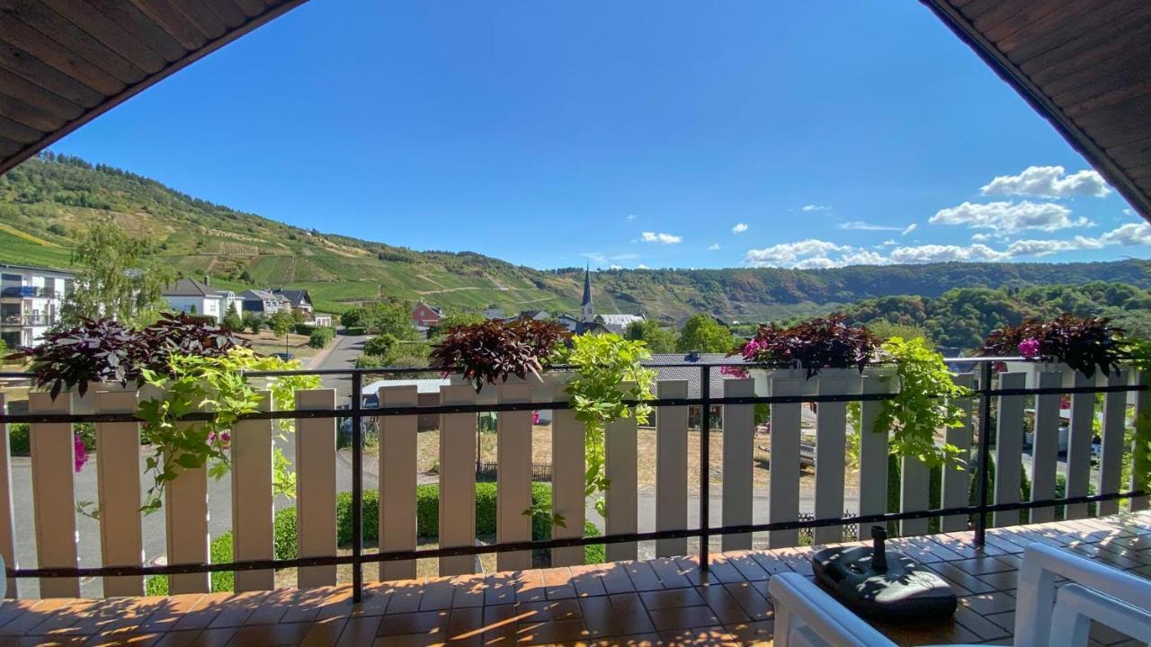 Apartmán Ferienweingut Juergen Beth Kröv Exteriér fotografie