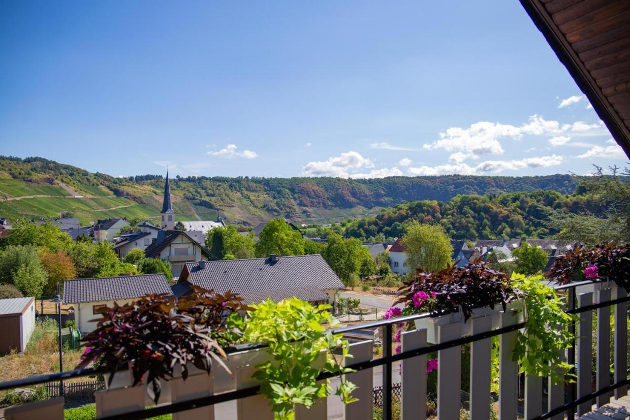 Apartmán Ferienweingut Juergen Beth Kröv Exteriér fotografie